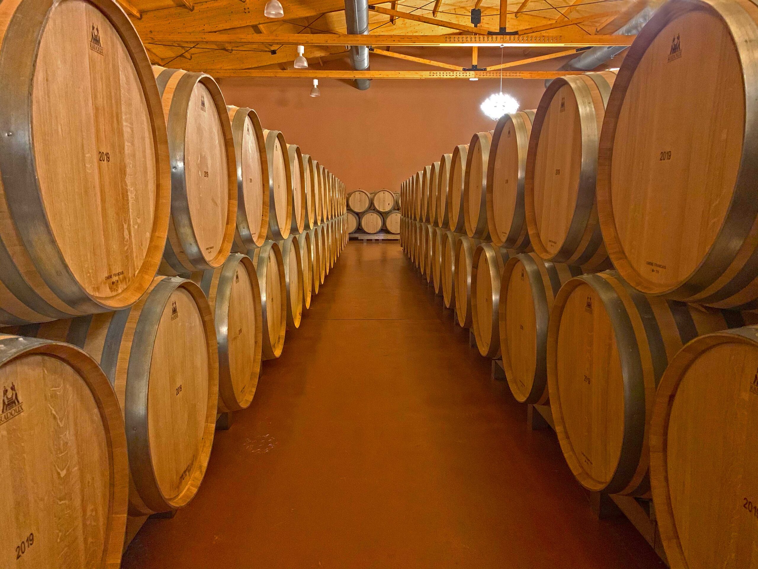 Ribera del Duero, a must wine destination for any wine lover, Cúrate Trips by Paladar y Tomar