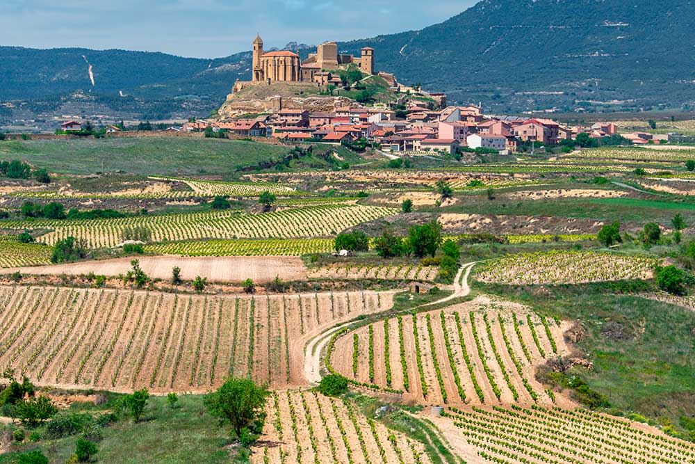 Rioja Wines: A Comprehensive Exploration Guide by CÚRATE Trips