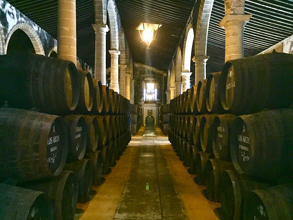 Exclusive sherry wineries tour in Jerez with Paladar y Tomar
