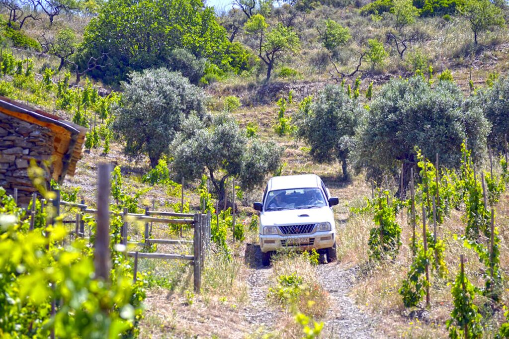 Enjoy a 4x4 tour among the vineyards in Priorat, by Paladar y Tomar