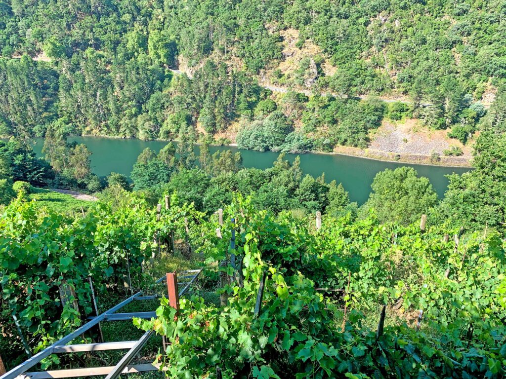 Ribeira Sacra wine tour, an exclusive experience with Paladar y Tomar