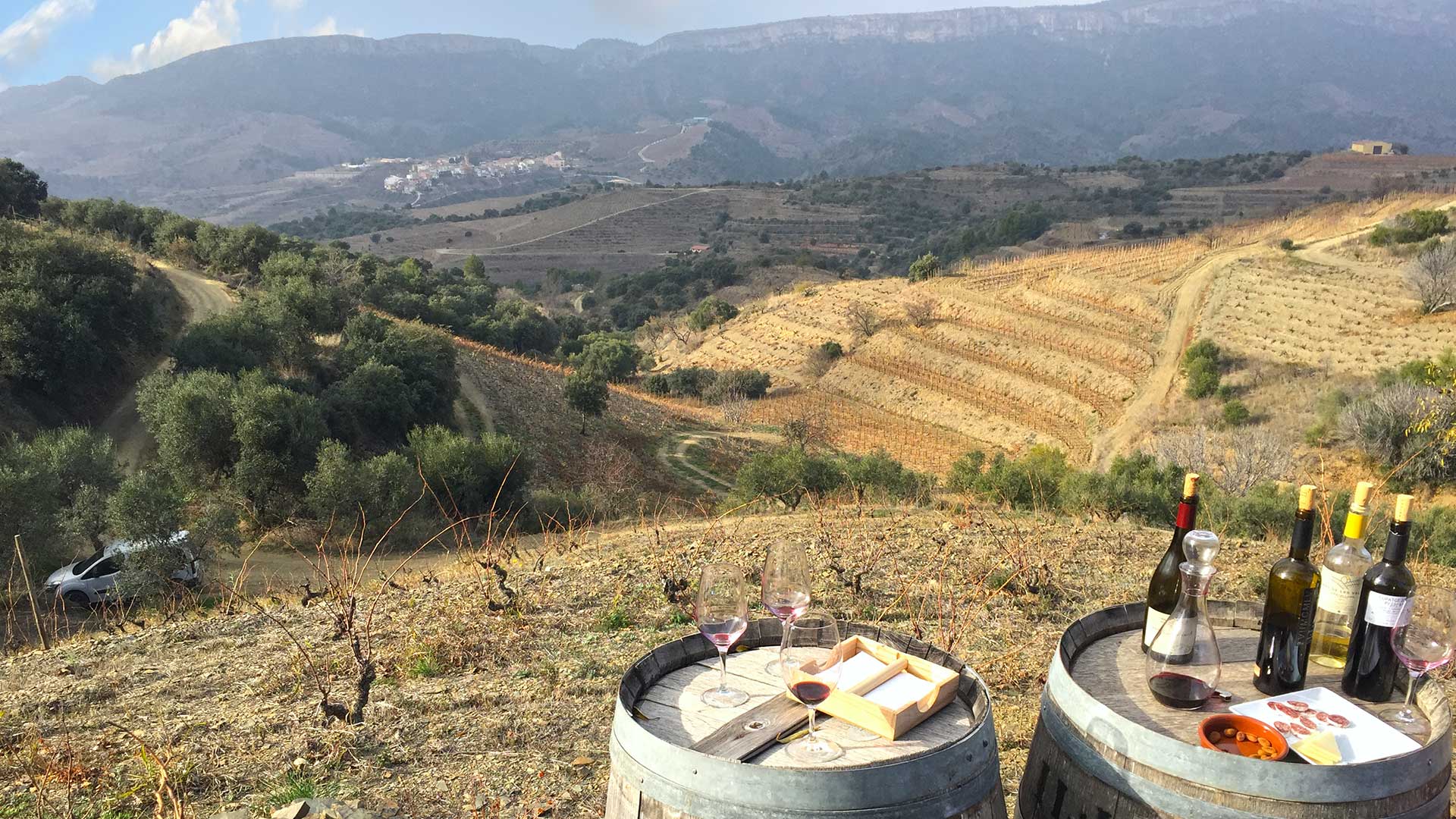 Priorat: among Spain's most prestigious wines, a tour with Cúrate Trips