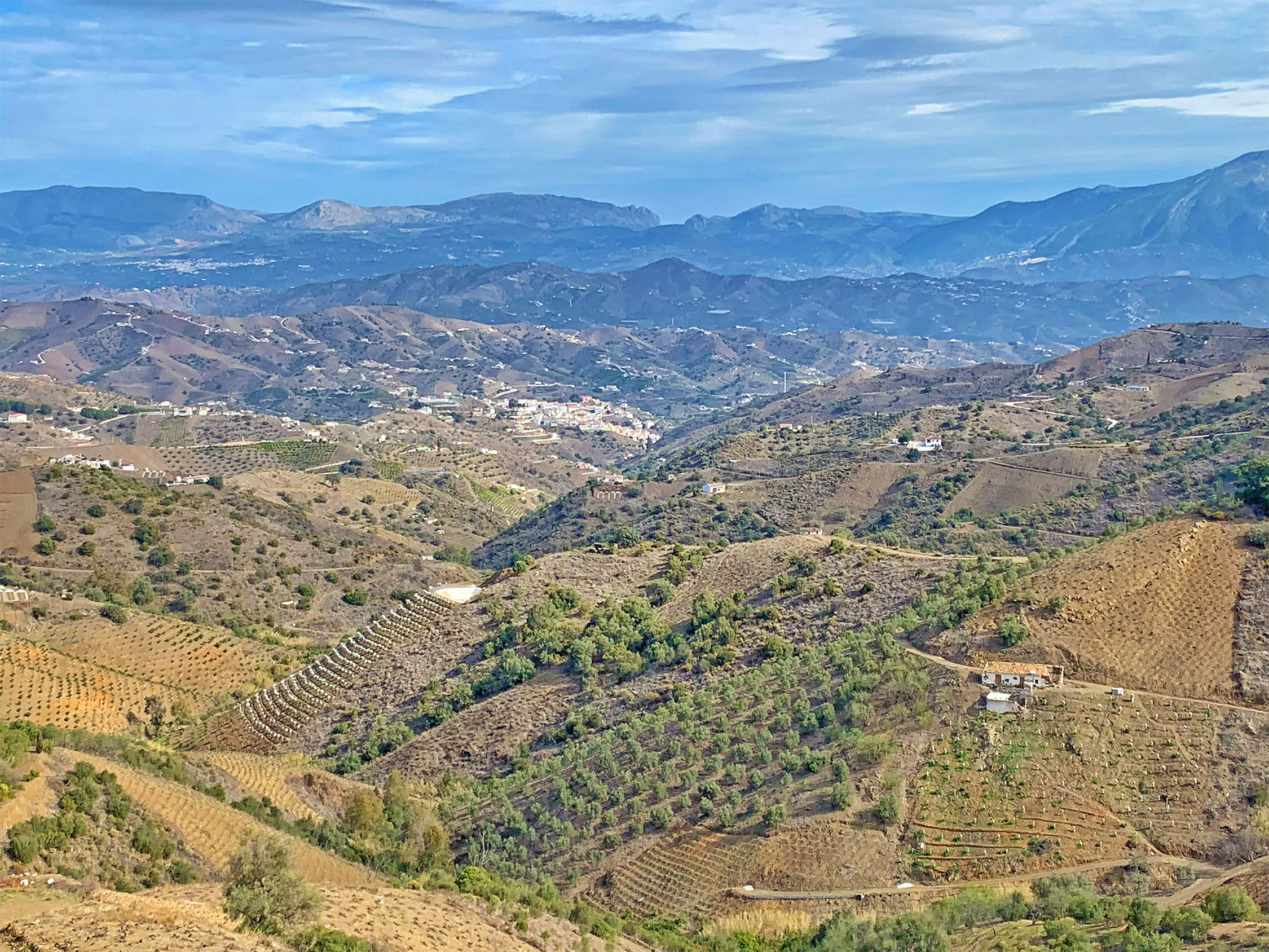 Wines from Axarquia in Malaga: heroic viticulture | CÚRATE Trips