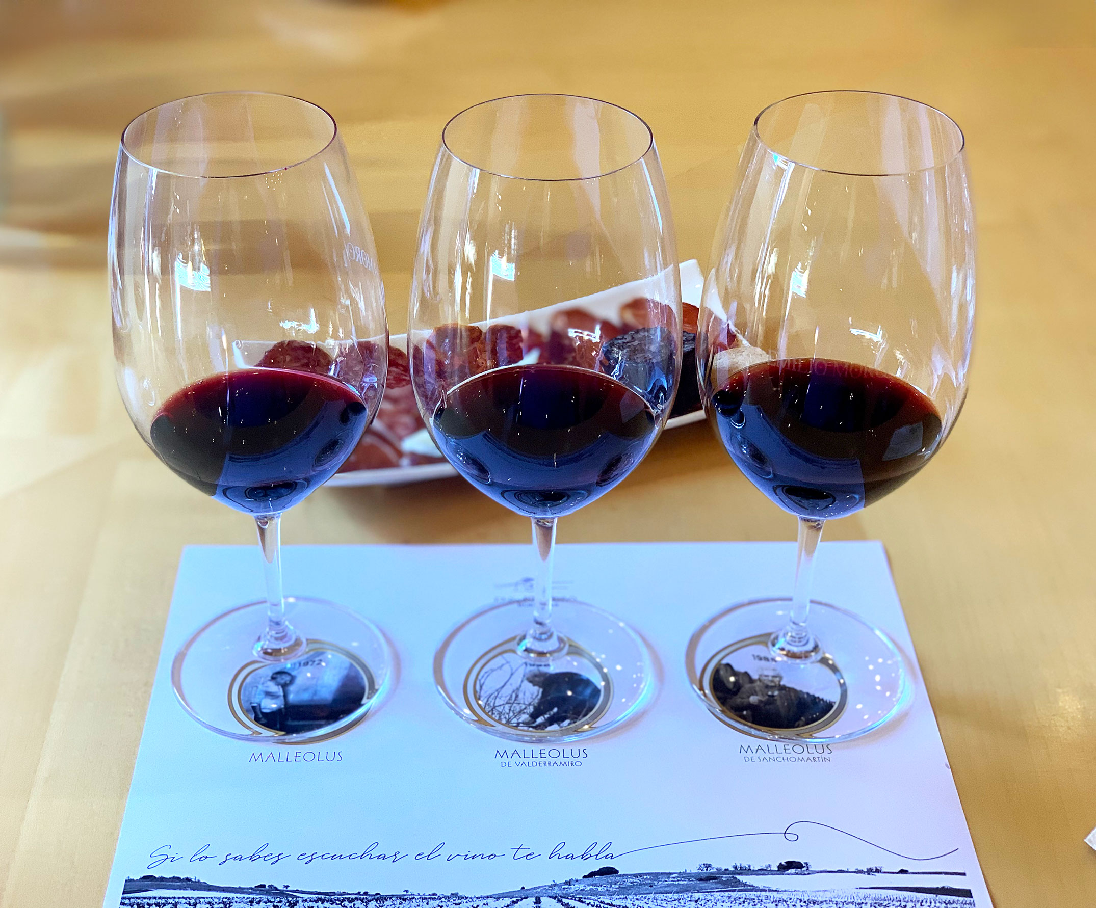 Ribera del Duero wine tasting by CÚRATE Trips
