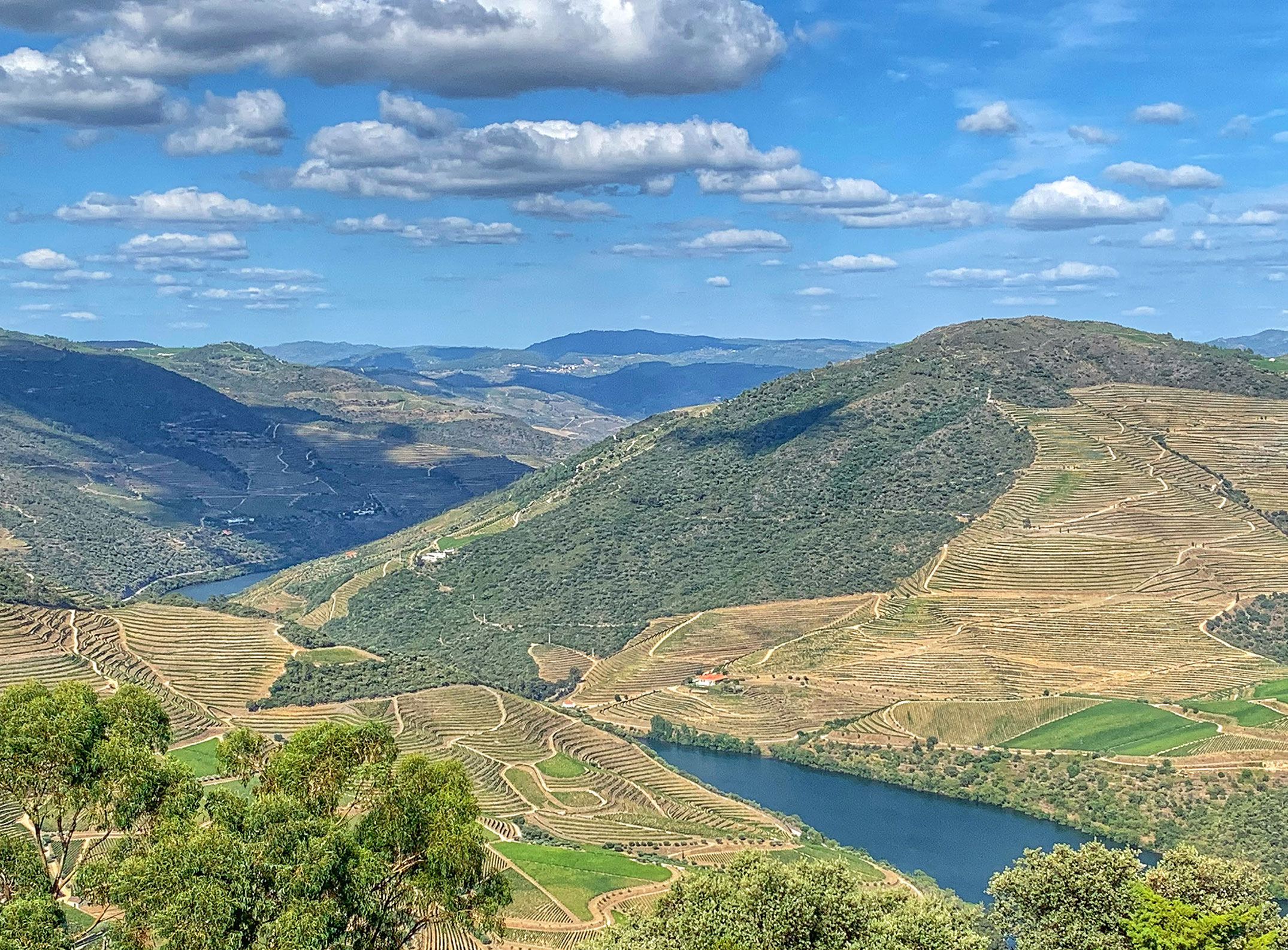 Douro river in Portugal | CÚRATE Trips