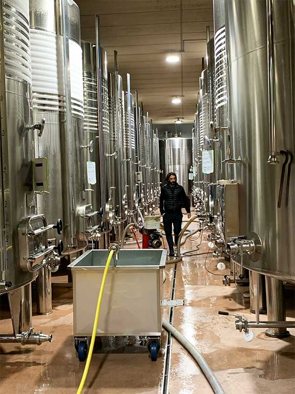 Stainless steel is perfect to respect the fruit and freshness of txakoli wine | CÚRATE Trips