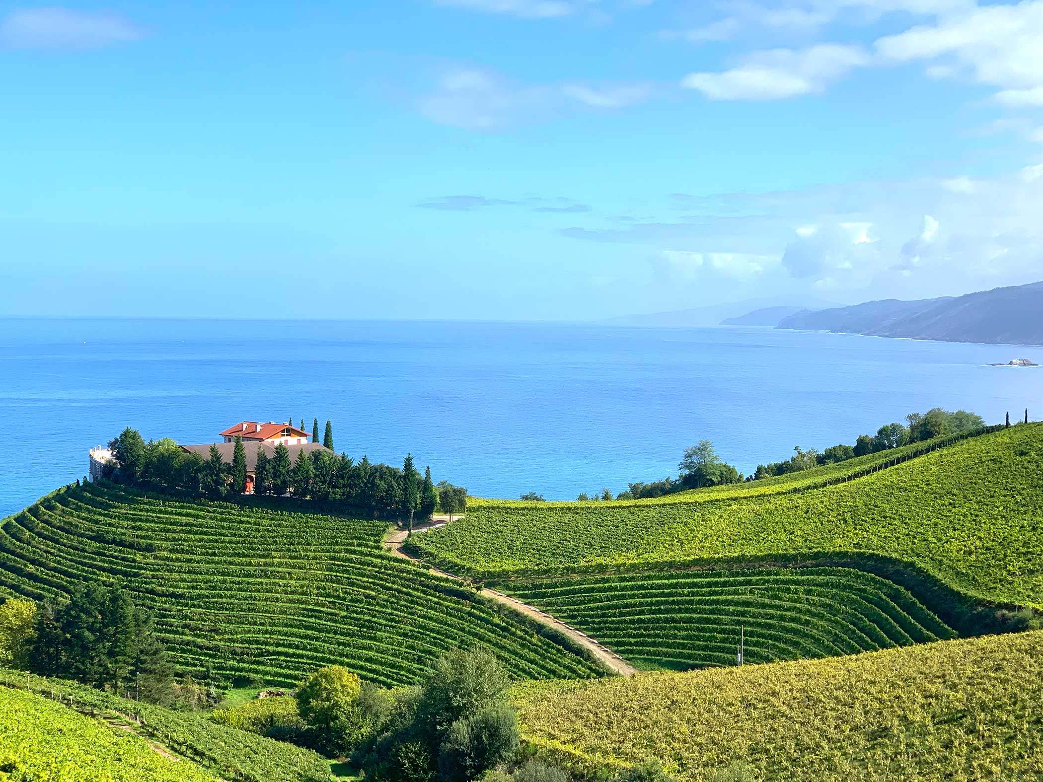 Txakoli vineyards offer exceptional views over the Atlantic ocean along the Basque coastline | CÚRATE Trips
